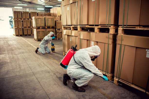 Best Flea Control Services  in Spring Valley, WI