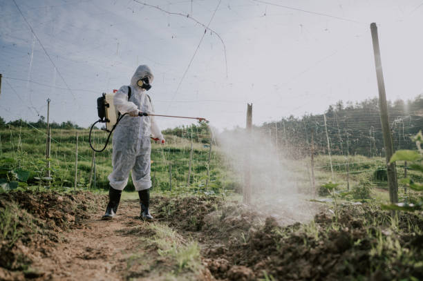Best Local Pest Control Services  in Spring Valley, WI