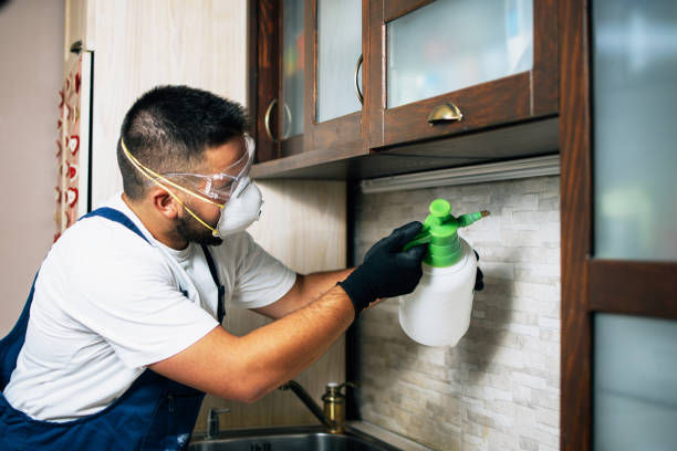 Best Residential Pest Control  in Spring Valley, WI