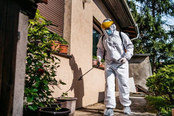 Best Rat Extermination Near Me  in Spring Valley, WI