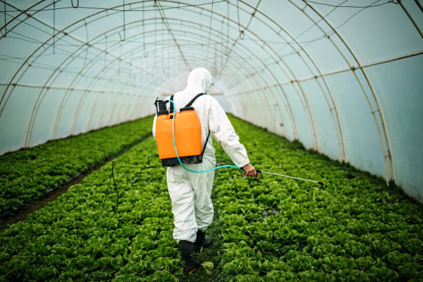 Best Emergency Pest Control  in Spring Valley, WI