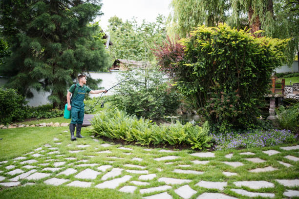 Best Pest Control Treatment  in Spring Valley, WI