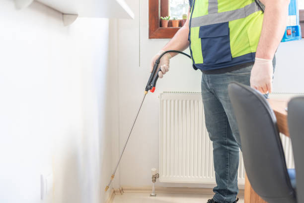 Best Bed Bug Extermination  in Spring Valley, WI