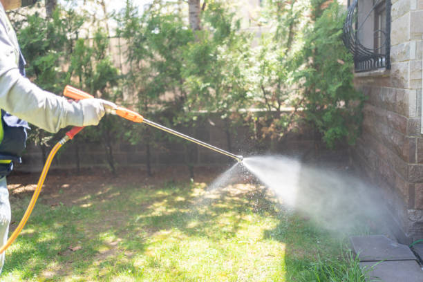 Best Termite Control Services  in Spring Valley, WI