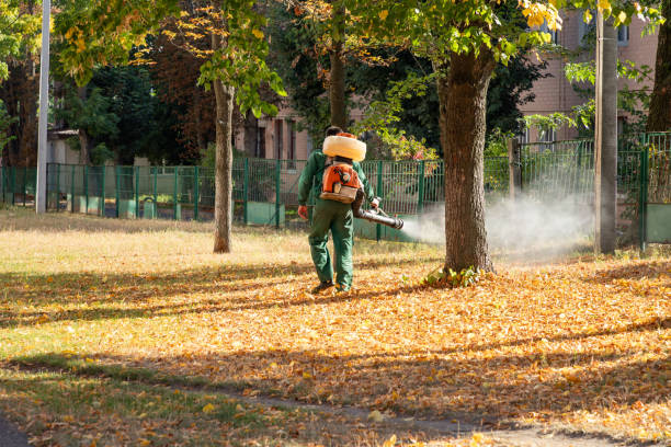 Best Commercial Pest Control Services  in Spring Valley, WI