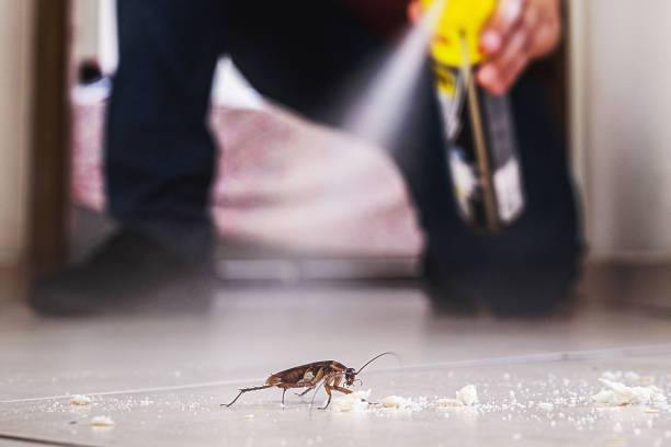 Best Emergency Pest Control  in Spring Valley, WI