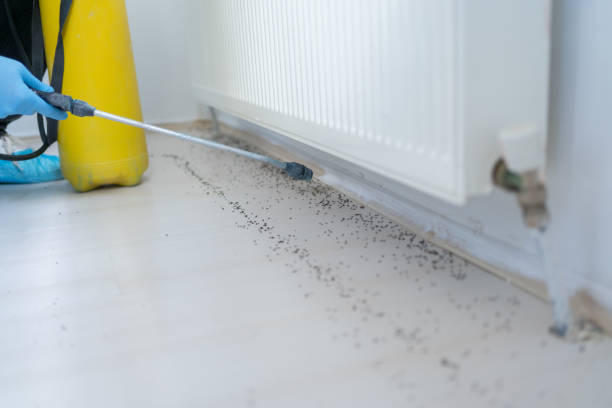 Best Pest Prevention Services  in Spring Valley, WI