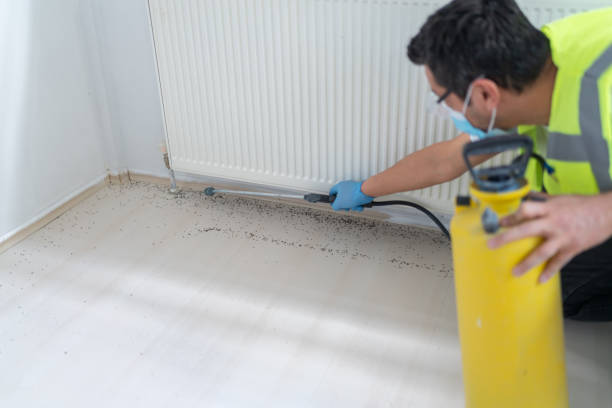 Best Flea Control Services  in Spring Valley, WI