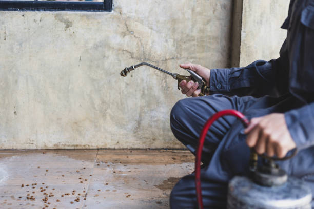Best Pest Inspection Near Me  in Spring Valley, WI