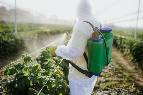 Best Affordable Pest Control Services  in Spring Valley, WI